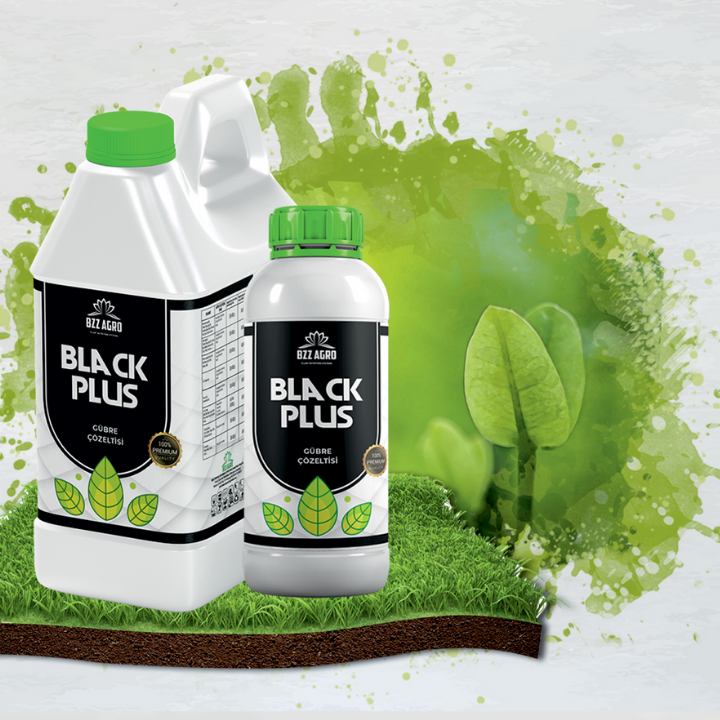 Black Plus