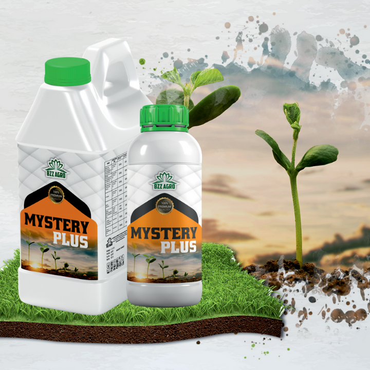 Mustery Plus