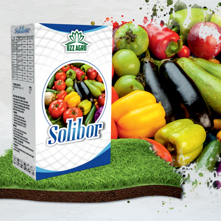 Solibor