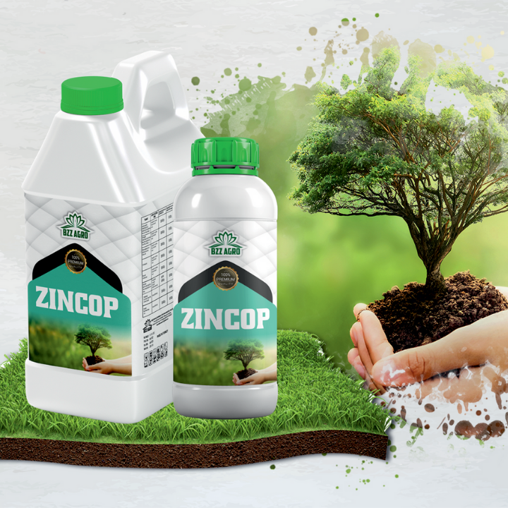 Zincop