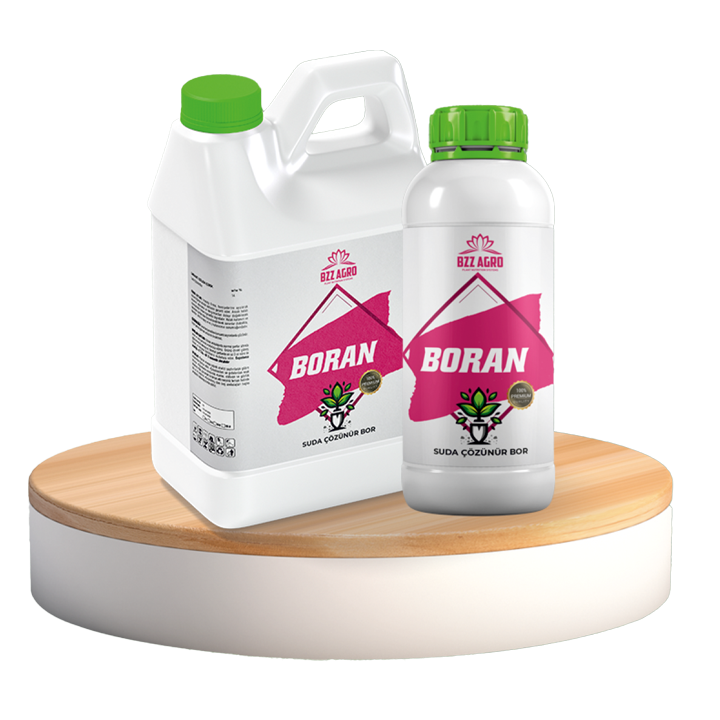 BORAN