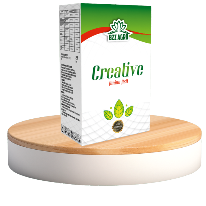 CREATİVE