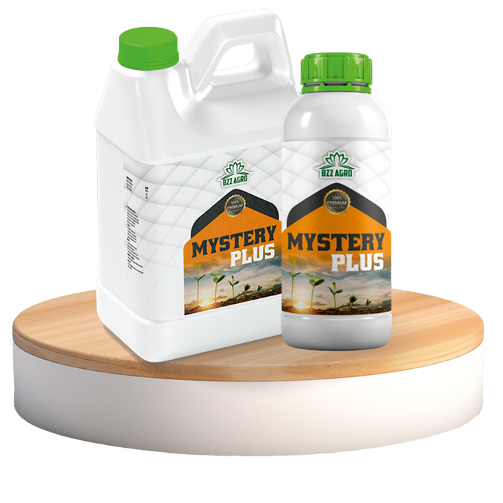 MYSTERY PLUS