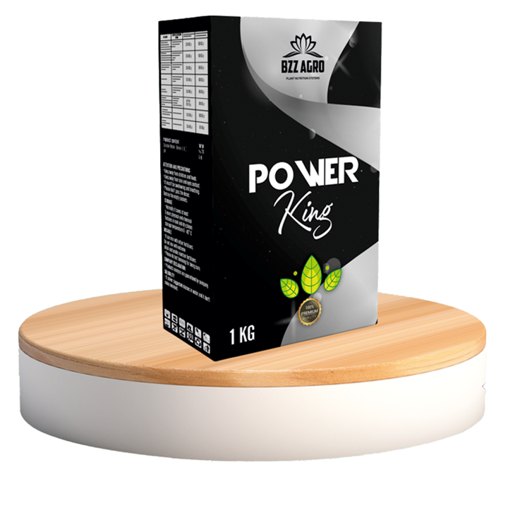 POWER KİNG