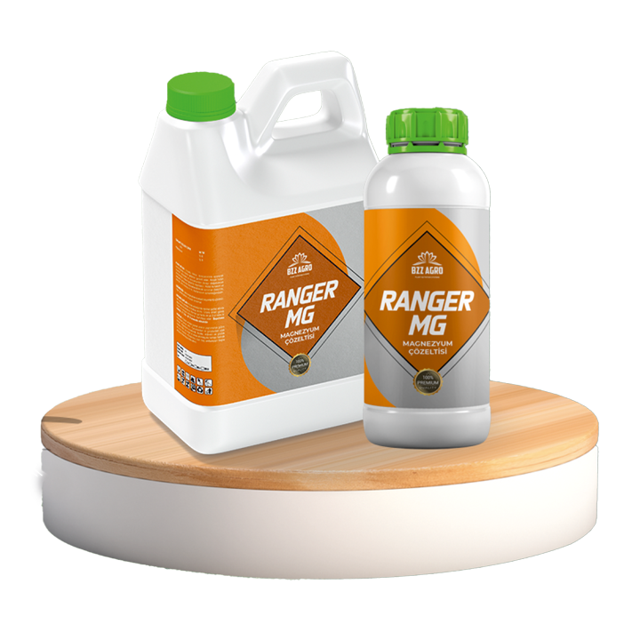 RANGER MG