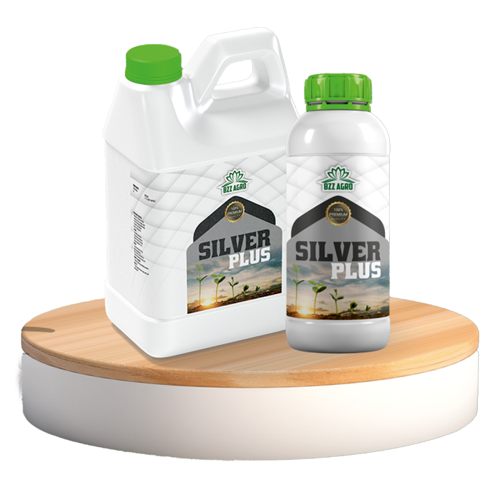 SILVER PLUS