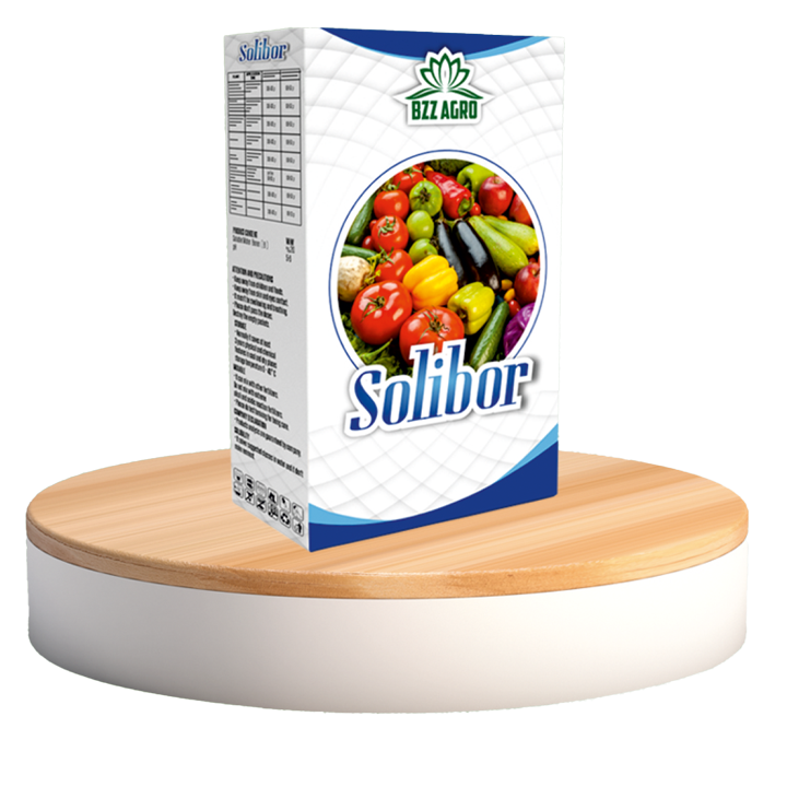 SOLIBOR