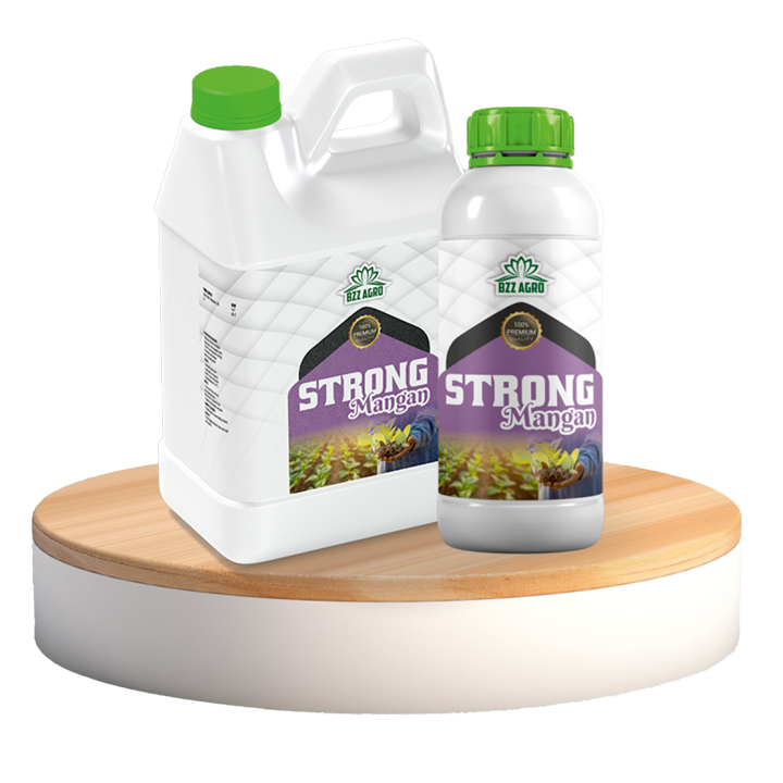 STRONG MANGAN